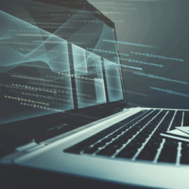 White Paper: The Long-Term Effects of Application Fraud